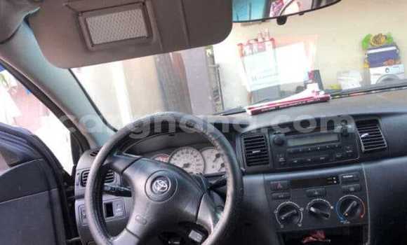 Buy Used Toyota Corolla Black Car in Tema in Greater Accra Buy Used Toyota Corolla Black Car in Tema in Greater Accra