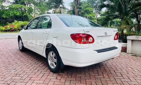 Buy Used Toyota Corolla White Car in Tema in Greater Accra Buy Used Toyota Corolla White Car in Tema in Greater Accra