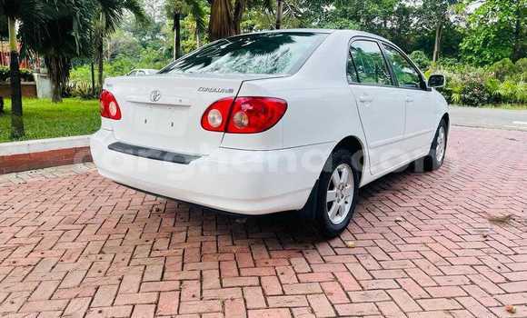 Buy Used Toyota Corolla White Car in Tema in Greater Accra Buy Used Toyota Corolla White Car in Tema in Greater Accra