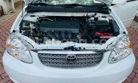 Ra Àlòkù Toyota Corolla funfun Ọkọ̀ in Tema ni Greater Accra Ra Àlòkù Toyota Corolla funfun Ọkọ̀ in Tema ni Greater Accra