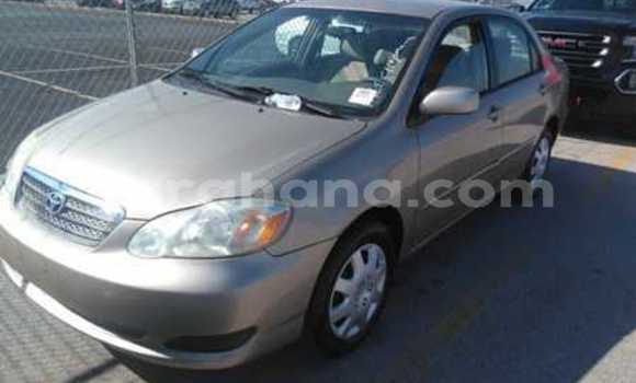 Buy Used Toyota Corolla Other Car in Tema in Greater Accra