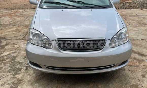 Buy Used Toyota Corolla Silver Car in Tema in Greater Accra