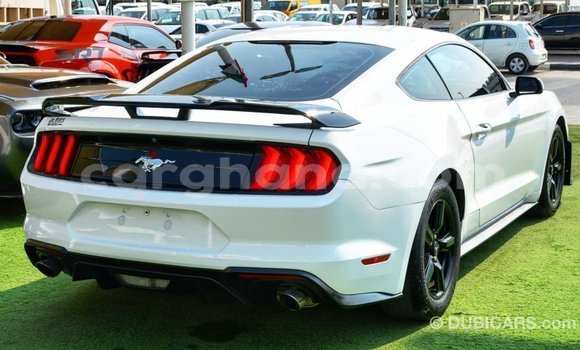 Sayi Imported Ford Mustang White Mota in Import - Dubai a Ashanti Sayi Imported Ford Mustang White Mota in Import - Dubai a Ashanti