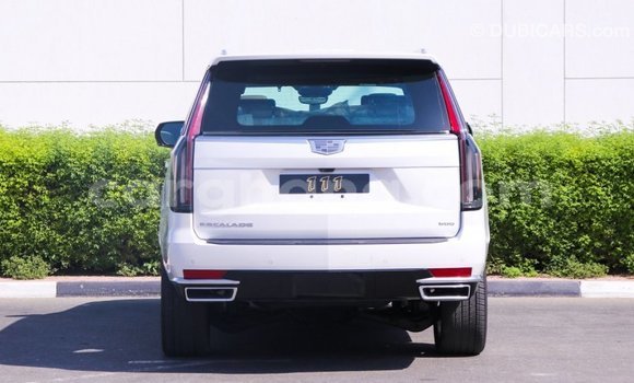 Sayi Imported Cadillac Escalade White Mota in Import - Dubai a Ashanti Sayi Imported Cadillac Escalade White Mota in Import - Dubai a Ashanti
