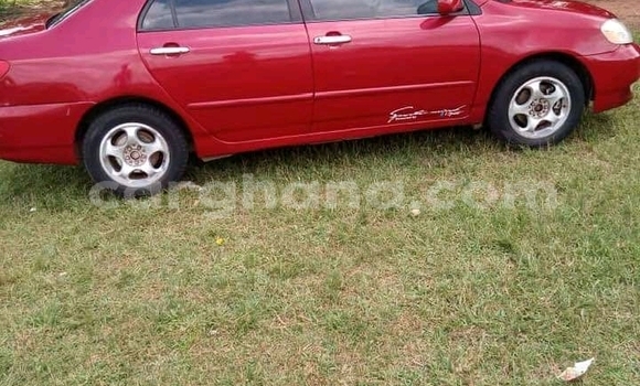 Buy Used Toyota Corolla Other Car in Accra in Greater Accra