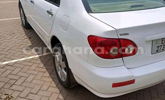 Buy Used Toyota Corolla White Car in Accra in Greater Accra Buy Used Toyota Corolla White Car in Accra in Greater Accra