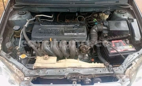 Buy Used Toyota Corolla Other Car in Accra in Greater Accra Buy Used Toyota Corolla Other Car in Accra in Greater Accra