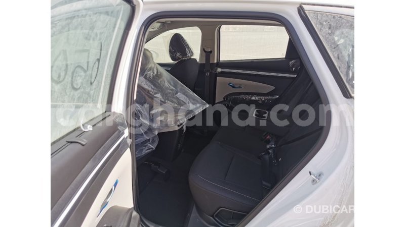 Big with watermark hyundai tucson ashanti import dubai 39002