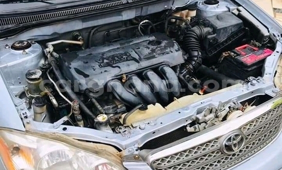 Buy Used Toyota Corolla Other Car in Accra in Greater Accra Buy Used Toyota Corolla Other Car in Accra in Greater Accra