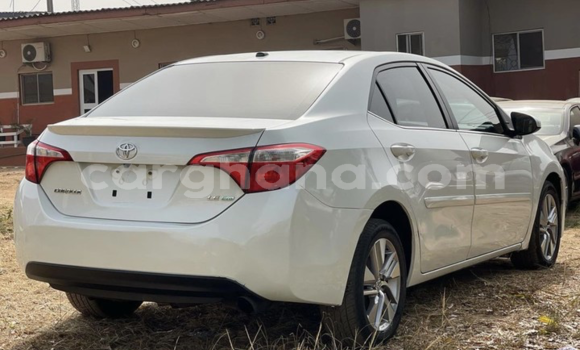 Sayi Na hannu Toyota Corolla White Mota in Tema a Greater Accra Sayi Na hannu Toyota Corolla White Mota in Tema a Greater Accra