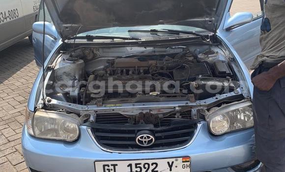 Buy Used Toyota Corolla Blue Car in Kumasi in Ashanti