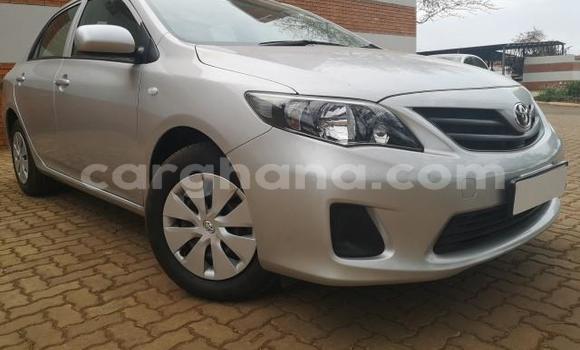 Ra Àlòkù Toyota Corolla Silver Ọkọ̀ in Accra ni Greater Accra Ra Àlòkù Toyota Corolla Silver Ọkọ̀ in Accra ni Greater Accra
