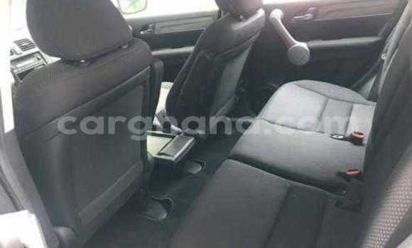 Buy Used Honda CR–V Green Car in Tema in Greater Accra Buy Used Honda CR–V Green Car in Tema in Greater Accra
