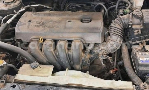 Ra Àlòkù Toyota Corolla Miiran Ọkọ̀ in Accra ni Greater Accra Ra Àlòkù Toyota Corolla Miiran Ọkọ̀ in Accra ni Greater Accra