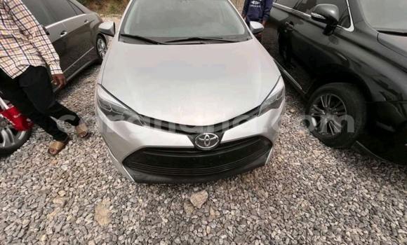 Buy Used Toyota Corolla Silver Car in Tema in Greater Accra