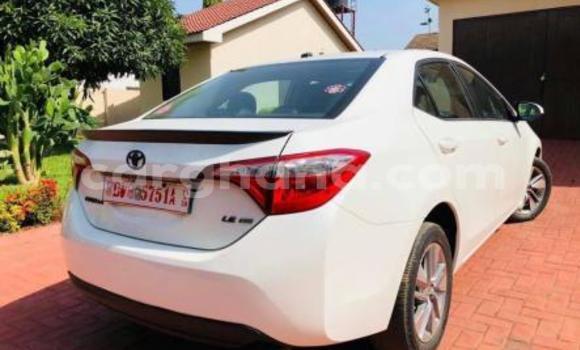 Sayi Na hannu Toyota Corolla Sauran Mota in Tema a Greater Accra Sayi Na hannu Toyota Corolla Sauran Mota in Tema a Greater Accra