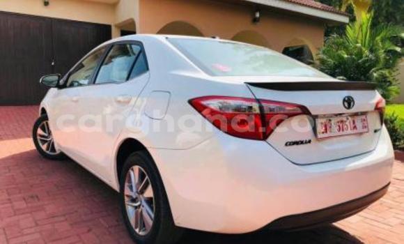 Sayi Na hannu Toyota Corolla Sauran Mota in Tema a Greater Accra Sayi Na hannu Toyota Corolla Sauran Mota in Tema a Greater Accra