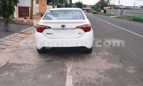 Buy Used Toyota Corolla White Car in Accra in Greater Accra