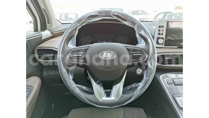 Big with watermark hyundai santa fe ashanti import dubai 41225