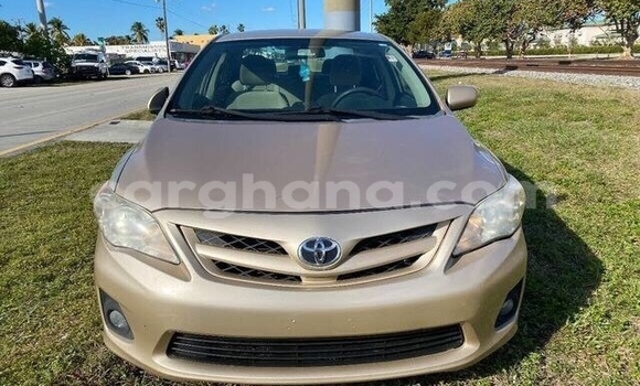 Buy Used Toyota Corolla Other Car in Tema in Greater Accra