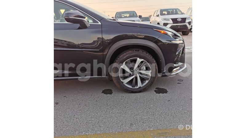 Big with watermark lexus nx ashanti import dubai 41667