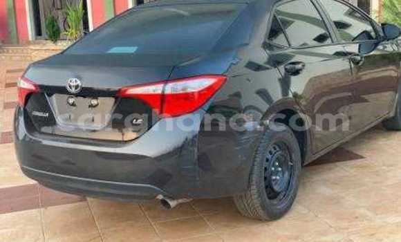 Sayi Na hannu Toyota Corolla Green Mota in Accra a Greater Accra Sayi Na hannu Toyota Corolla Green Mota in Accra a Greater Accra
