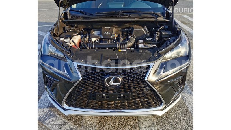 Big with watermark lexus nx ashanti import dubai 41725