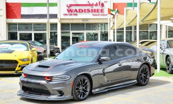 Buy Import Dodge Charger Other Car in Import - Dubai in Ashanti