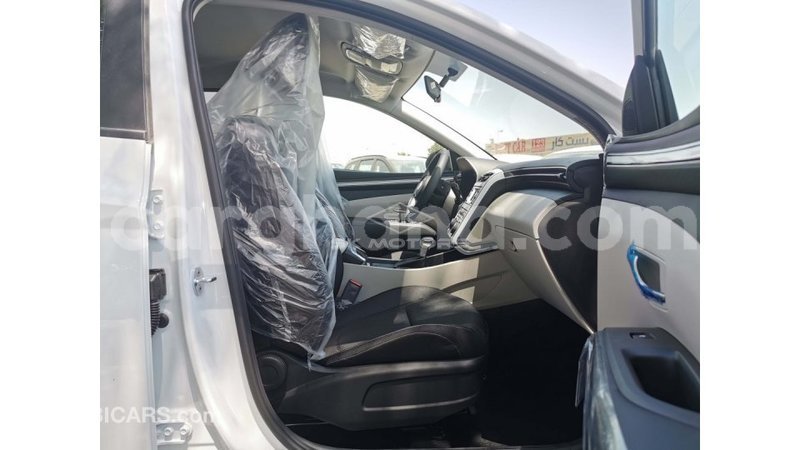 Big with watermark hyundai tucson ashanti import dubai 42162