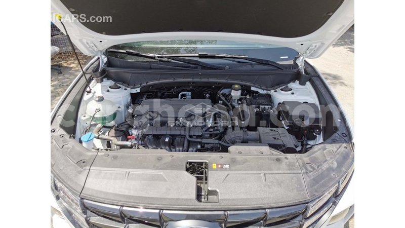 Big with watermark hyundai tucson ashanti import dubai 42162