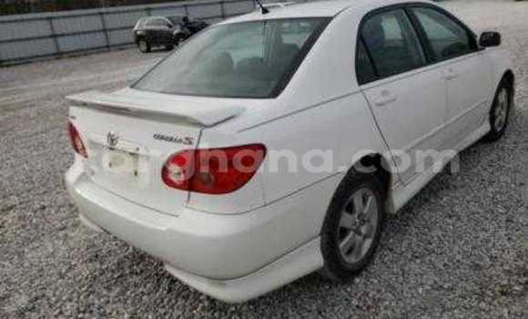 Sayi Na hannu Toyota Corolla White Mota in Accra a Greater Accra Sayi Na hannu Toyota Corolla White Mota in Accra a Greater Accra