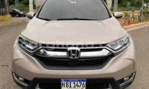 Buy Used Honda CR–V Other Car in Accra in Greater Accra