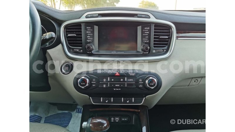 Big with watermark kia sedona ashanti import dubai 42465