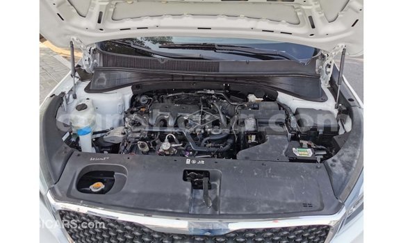 Buy Import Kia Sedona White Car in Import - Dubai in Ashanti Buy Import Kia Sedona White Car in Import - Dubai in Ashanti