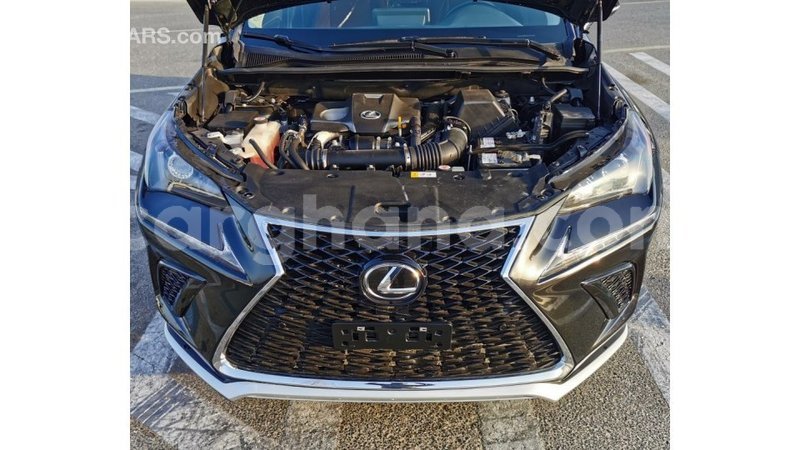 Big with watermark lexus nx ashanti import dubai 42570