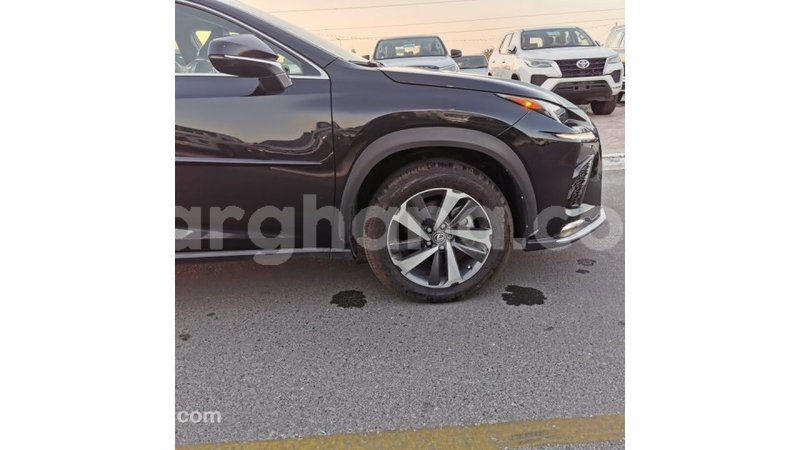 Big with watermark lexus nx ashanti import dubai 42710