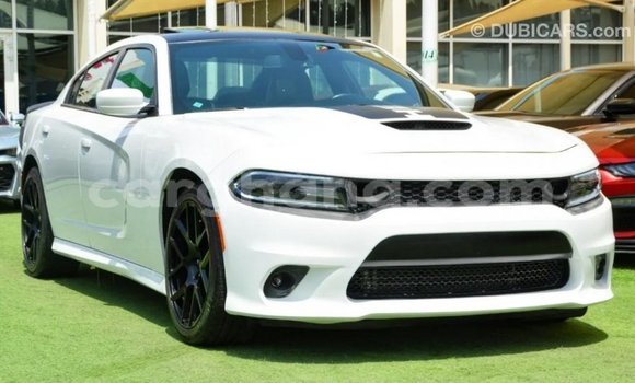 Buy Import Dodge Charger White Car in Import - Dubai in Ashanti Buy Import Dodge Charger White Car in Import - Dubai in Ashanti