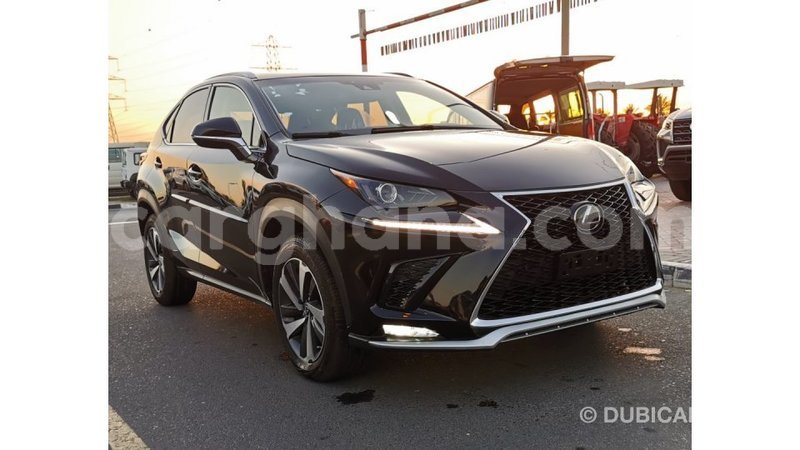 Big with watermark lexus nx ashanti import dubai 43080