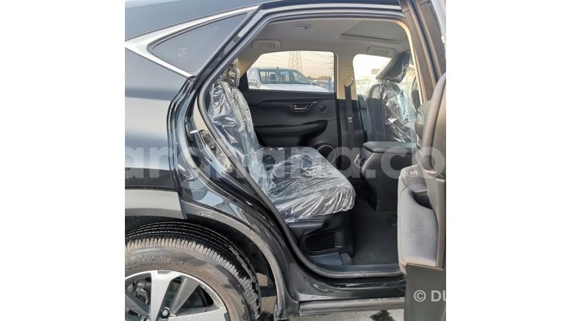 Big with watermark lexus nx ashanti import dubai 43080