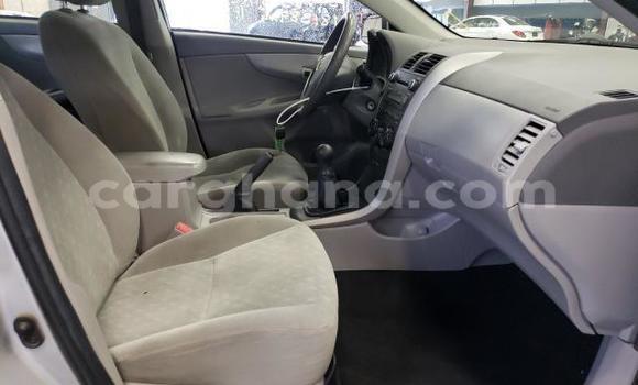 Buy Used Toyota Corolla Silver Car in Sekondi–Takoradi Metropolitan in Western Buy Used Toyota Corolla Silver Car in Sekondi–Takoradi Metropolitan in Western