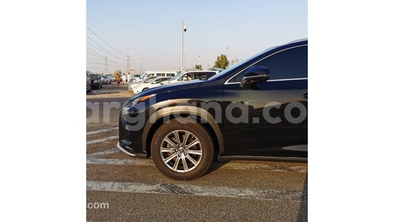 Big with watermark lexus nx ashanti import dubai 43277