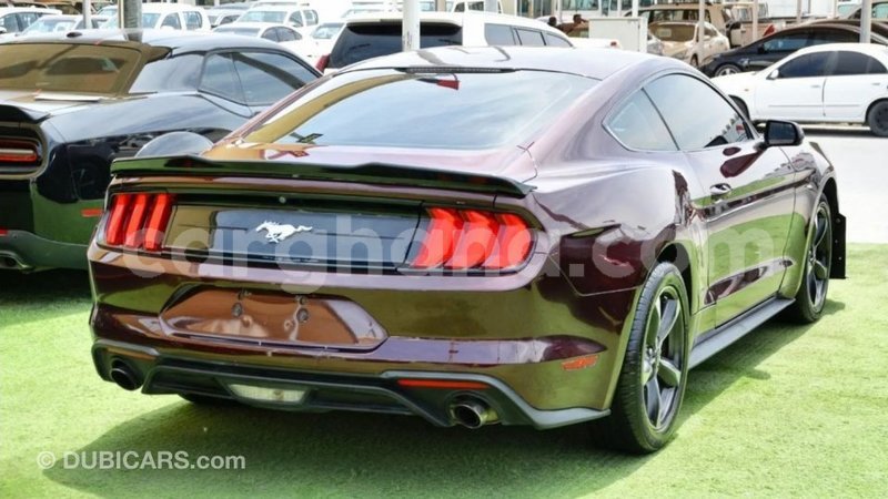 Big with watermark ford mustang ashanti import dubai 43393