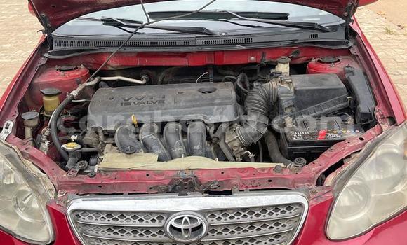 Buy Used Toyota Corolla Red Car in Sekondi–Takoradi Metropolitan in Western Buy Used Toyota Corolla Red Car in Sekondi–Takoradi Metropolitan in Western