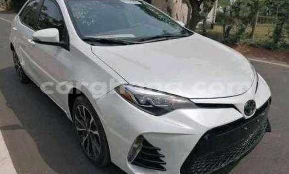 Buy Used Toyota Corolla White Car in Accra in Greater Accra