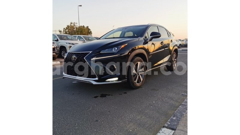 Big with watermark lexus nx ashanti import dubai 43871