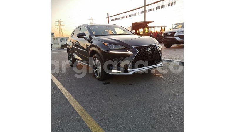 Big with watermark lexus nx ashanti import dubai 43871