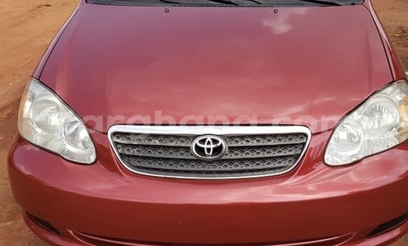 Buy Used Toyota Corolla Red Car in Tema in Greater Accra