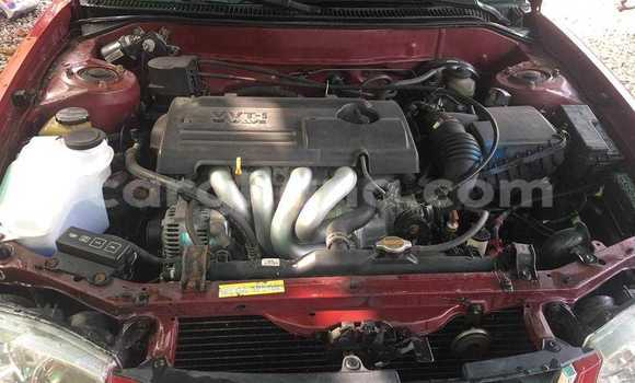 Buy Used Toyota Corolla Red Car in Accra in Greater Accra Buy Used Toyota Corolla Red Car in Accra in Greater Accra