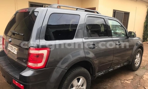 Buy Used Ford Escape Silver Car in Tema in Greater Accra