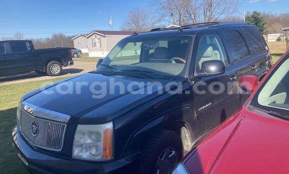 Buy Import Cadillac Escalade Other Car in Adaklu Waya in Volta